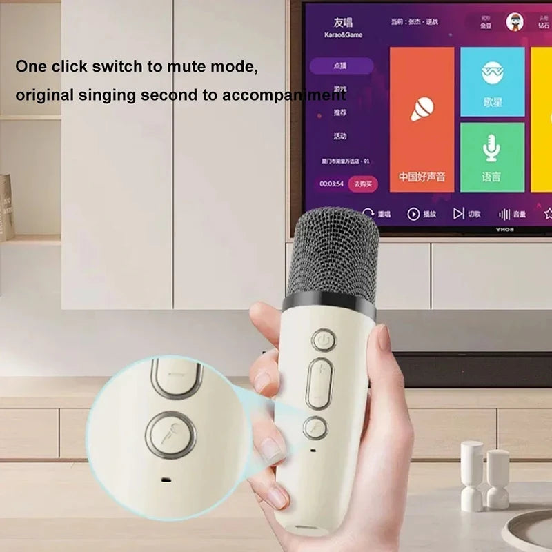 Karaoke Machine Portable